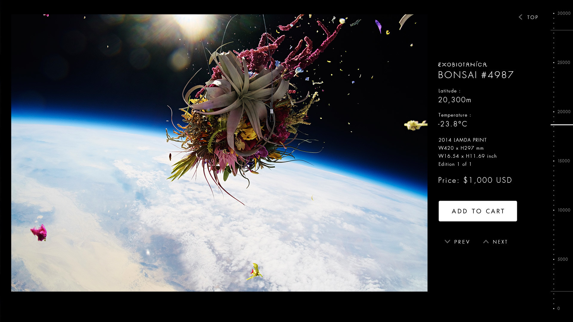 EXOBIOTANICA | WORK - Bascule Inc.